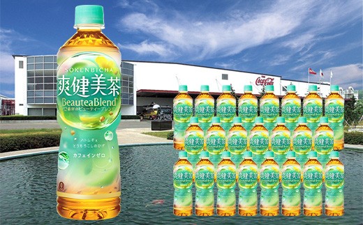 爽健美茶 600mlPET×24本 【04301-0027】 - 宮城県蔵王町｜ふるさと