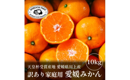 yQlszVct܎YnQY ݂10kg󂠂聄D70-38y1536341z