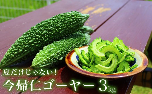 yꌧAmzAmS[[3kgy10`4͂z