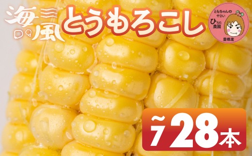 ymLszs\ ߘa8NYi2026NnjFƂ낱 7{ 14{ 28{ őlCI m Ls Ė  ~lՂ C  BBQ Ƒ e L