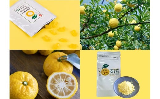 yÉ썪{z6-3 䂸 䂸pE_[ 䂸 / 썪{荂䂸ZbgC