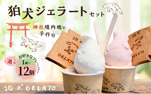 yɌszWF[g uWF[gv12Zbg 7ނI [ ACX ACXN[  ]  Mtg v[g j yh`Fez