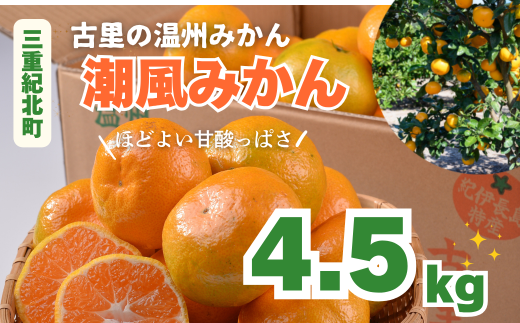 古里の温州みかん「潮風みかん」4.5㎏〈かきうち園芸〉【KE12】 - 三重