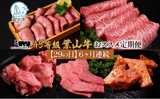 y_ސ쌧qszy29̓ցz6A tR  J^O Mtg Jr؂藎 W[V[ јa ~ Ԑg  Ă Ƒ 蕨   a Ⓚ ǎ Ⓚ 