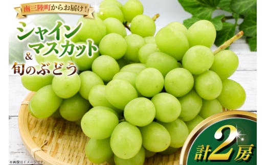 y{錧OzyԌ蔭zy2026Nz ƒp VC}XJbg {̂Ԃǂ lߍ킹 e1[ v2[ [݂ȂƉʎ {錧 O m304bdy880000] Ԃǂ uhE  }XJb