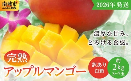 yꌧszy2026Nz󂠂EƒpnAbv}S[2kgij3ʁ`7