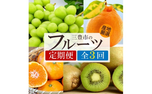 y쌧OLszyӂ邳Ɣ[Łzy3ցzVC}XJbg O[LECE{̃t[c ()