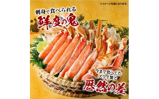 【兵庫県神戸市】蟹 ハーフポーション 生ずわいがに 700g 2-3人前 爪 脚 刺身可 かに 刺し身 鮮度抜群 食べやすい 蟹しゃぶ しゃぶしゃぶ 生ズワイガニ 鍋 焼き蟹 カニ料理 かに刺 かに雑炊 か