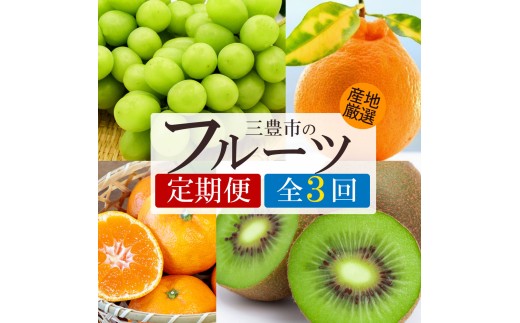 y쌧OLszyӂ邳Ɣ[Łzy3ցzVC}XJbg fR|E{̃t[c (B݂)