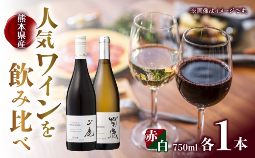 yF{RszeVhl&R}XJbgx[[A2024 C2{Zbg ϔtyeCi[z [ZFB006]