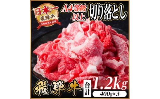 y򕌌Hszˋ@I؂藎Ƃ@1.2kg@A4`A5@јa@y1487292z