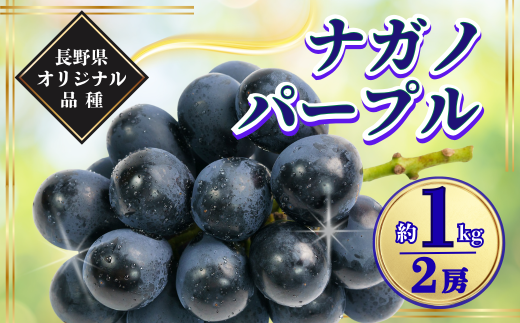 y쌧Ȏszy2026Ns\ziKmp[v 1kgbʕ t[c Ԃǂ  uhE 햳 Ȃ 炲 Ȏs 쌧 MB