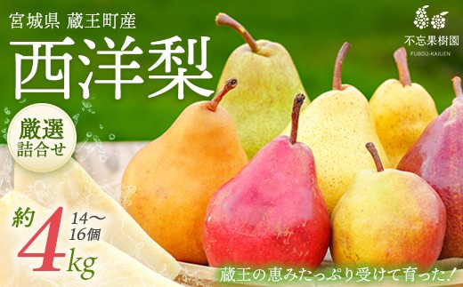 洋梨品 sd1_4e09182010a63ea33aac31bd66