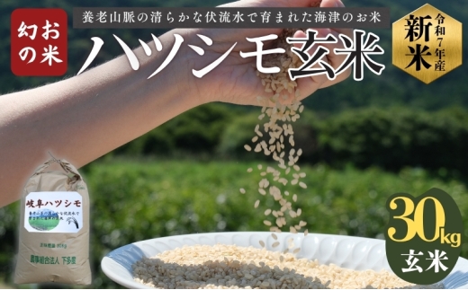 №5533-0421]「 幻の米 」 ハツシモ 玄米 30kg - 岐阜県海津市