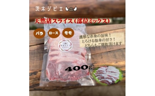 y{؎szVRXCX400gy1634400z