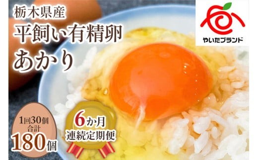 yȖ،szy6z[L30] Zȉg ^ixt@[̂ĂΒyLz (͂j