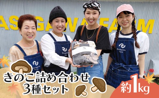 yÉOsẑ lߍ킹 Zbg 3 1kg Ђ炽߂ GM q^P v[bg  GM o^[ ̂ 