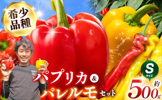 【長野県松本市】パプリカ&パレルモ(希少品種) Sセット 約500g | パプリカ パレルモ 野菜 希少 ジューシー フレッシュ ヘルシー ふるさと納税 信州 長野県 松本市