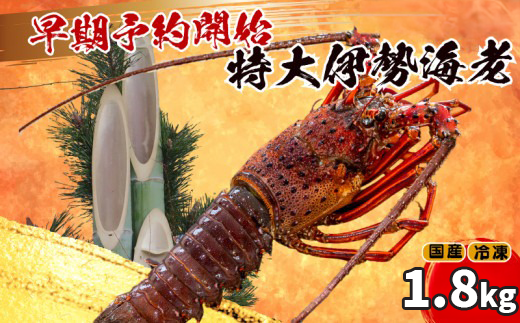 ym{szy\z y1230z  ɐCV 3C 1800g ` ȏ Ⓚ ( TCY }Ⓚ  Gr  N CN  hg Ă ` Mtg  蕨 j Ε 