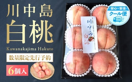 ya̎RxRzm2026NnmIʌs\In쒆 2kg 6 1001̌Ii _ƌIImKG33n