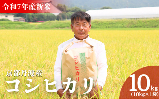 ys{Osz[5334-0695]ߘa7NY sOgY RVqJ 10kg  Ђ  