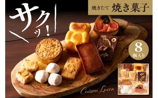 ysizĂَqlߍ킹 s8t