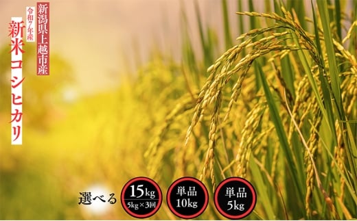 yVzszV ߘa7NY V zsY RVqJ 10kg 10L  10{菇o   