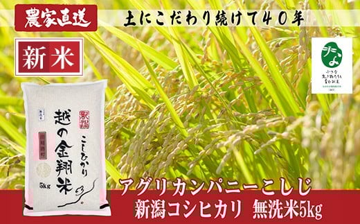 yVszJ8-7MC051yz̋ĕāzVYRVqJ5kgyuȐƈނāvFؕiz