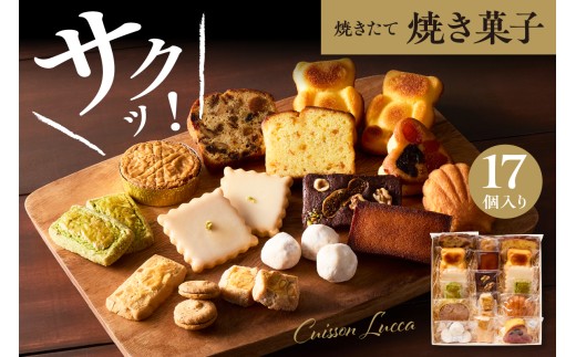 ysizĂَqlߍ킹 s17t