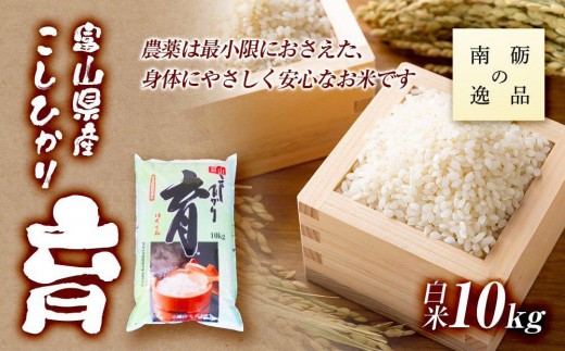 【富山県南砺市】【令和7年産】富山県産こしひかり 育(はぐくみ)白米10kg《南砺の逸品》