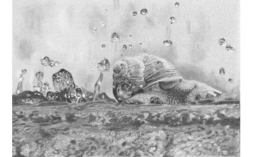 ys{zM uWater Gems 9v Bolen Teresa ʌ _ i  A[eBXg A[g ART |p |pi fUC CeA G  ؒÐs s{