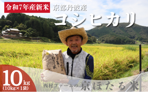 ys{Osz[5334-0698]ߘa7NY V sOgY RVqJ 10kg t@[ ق