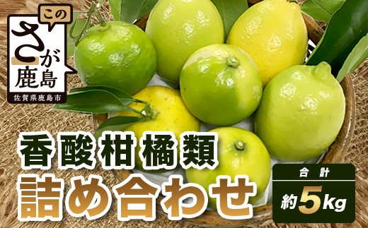 B-366 香酸柑橘類セット （リスボンレモン・キノス・げんこう・ライム