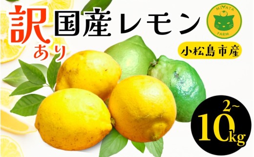 愛媛県産】完全無農薬 レモン 10kg 訳あり⭐️広島県産レモン10キロ箱
