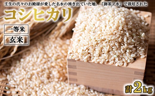 令和7年産》コシヒカリ 玄米 1kg×2 計2kg ｜ 一等米 お殿様のお米 米 