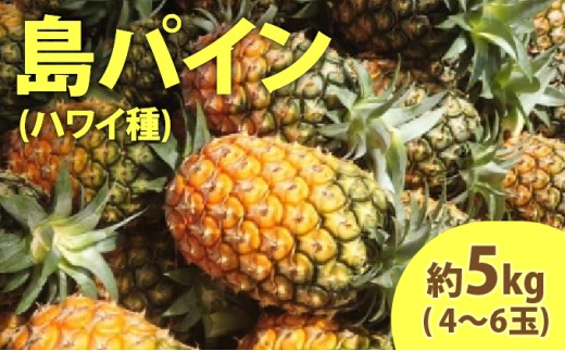 yꌧ|xz2026N s\ pC (nC) 5kg (4`6) ܂ݔ_ hՂh pC pCibv ʕ t[c