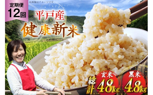 y茧ˎsz ߘa7N ˂̌N 4kg  400g Zbg v4.4kg 12 v 52.8kg [GRt@[ic 茧 ˎs hr42bgy400113] RVqJ iczmJ qmqJ R  