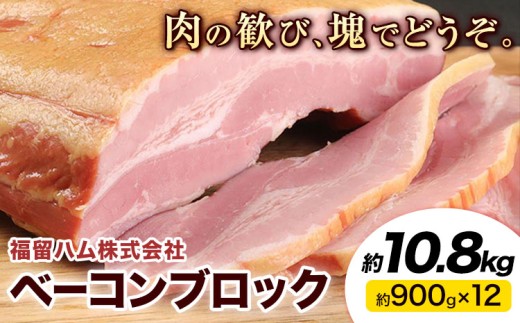 yF{erszx[RubN 12 (1900g) v10.8kg x[R ubN ؃o n JASWi ①   s30ȓɏoח\(yj)t