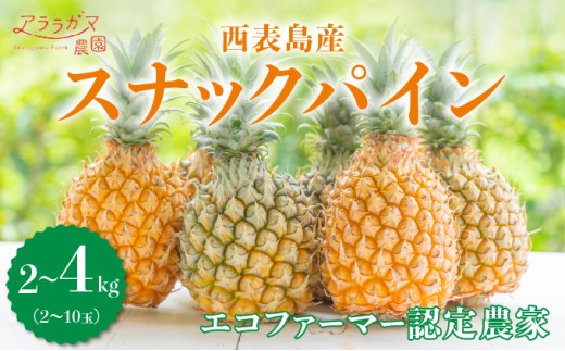 yꌧ|xzyeʂIׂzmxNO.1Ix^FȐVopC@ĐHׂXibNpC2?4kgi2`10ʁj