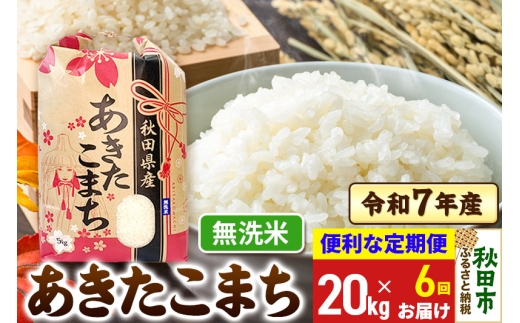 yHcHcszs6t ܂ 20kg(5kg×4)  ߘa7NY yāzHcY