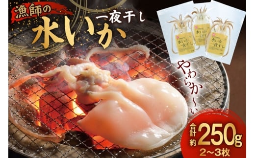 y茧ˎsz 銱   t̐G銱 2?3 250g  [싙 茧 ˎs hr42bgy400067] CJ   Ⓚ