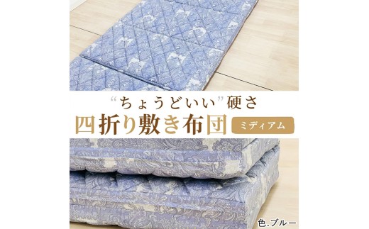 y{Îsz֗ l܂ ~ӂƂ VO u[ xd ~fBA K0427H01-4SB [5025]