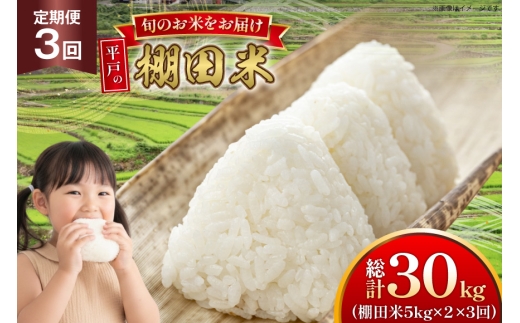 y茧ˎsz ߘa7N Ic 5kg 2 v 10kg 3   v30kg [ЂǐVNs 茧 ˎs hr42bgy400181] ߘa7NY R  ͂  Ђ Ђ̂Ђ ɂ܂