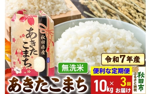 yHcHcszs3t ܂ 10kg(5kg×2) ߘa7NY  yāzHcY