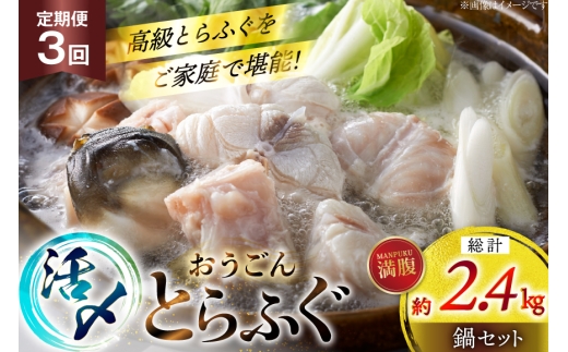 y茧ˎszӂ  Zbg Y Ƃӂ  Zbg 800g 3  v 2.4kg [iY 茧 ˎs hr42bgy400187] Ƃӂ tO ͓ Ă ӂ ӂ 