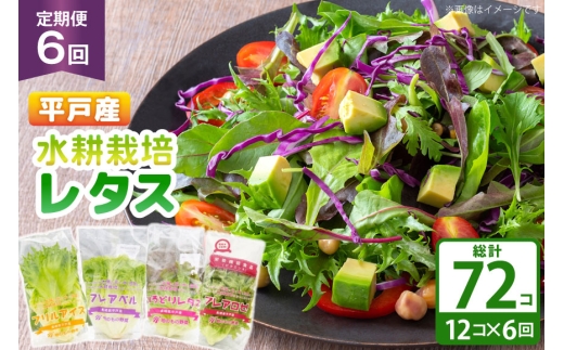 y茧ˎsz^X k͔| 4 12 Zbg 6  v72 Hה lߍ킹 [tWt@[ 茧 ˎs hr42bgy420230] T_ Yn    tbV 