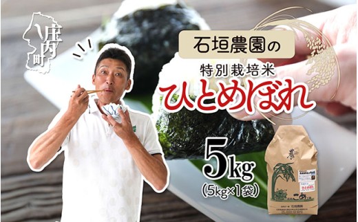【山形県庄内町】石垣農園の特別栽培米 ひとめぼれ 5kg 令和7年産 2025年産 ブランド米 コシヒカリの原点、亀の尾発祥の地 庄内