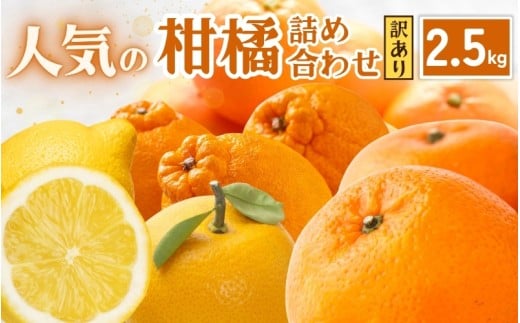 【和歌山県紀美野町】<1月より発送>家庭用 柑橘詰合せ2.5kg+250g(傷み補償分)【訳あり・わけあり】【有田の春みかん詰め合わせ・フルーツ詰め合せ・オレンジつめあわせ】【光センサー
