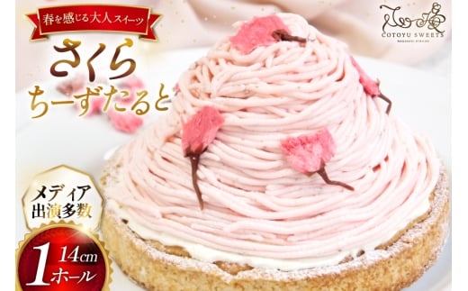 y茧ˎszXC[c P[L  [ 1z[ 14cm [SD-Cotoyu Sweets- 茧 ˎs hr42bgy420478]  t `[Y ^g 킢  sN  ̓