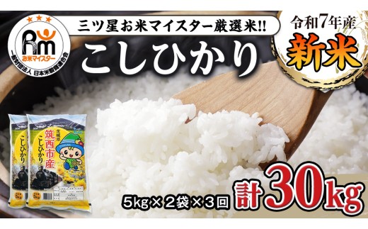 y錧}szy  3 z 錧 }sY RVqJ 10kg ( 5kg × 2 ) ߘa7NY V Oc }CX^[  R Ђ 3 30kg 錧 P  V  [CH008ci]